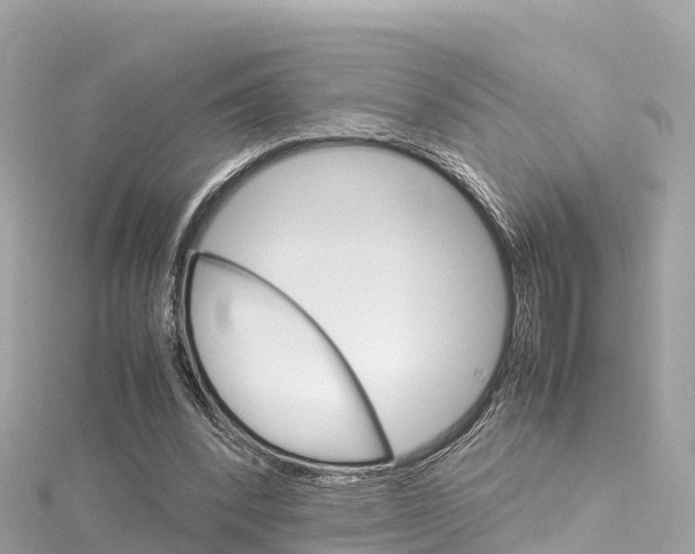 X0000116310392200911301040