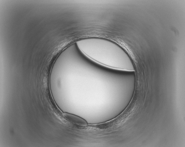 X0000116310393200911301040