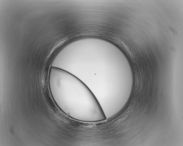 X0000116310396200911301040