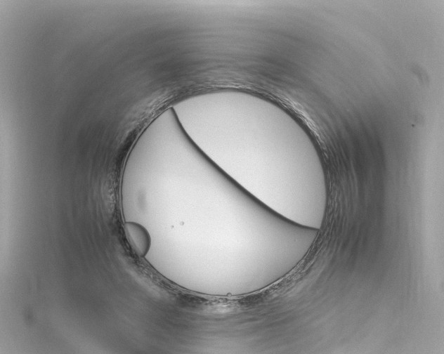 X0000116310402200911301040