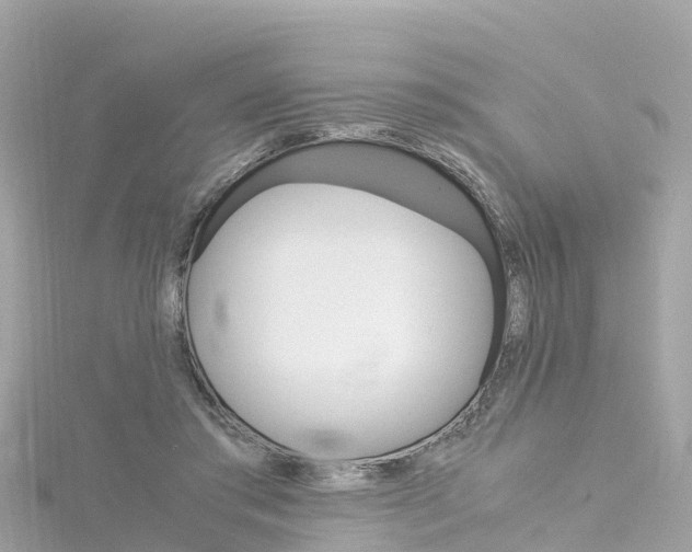 X0000116310405200911301040