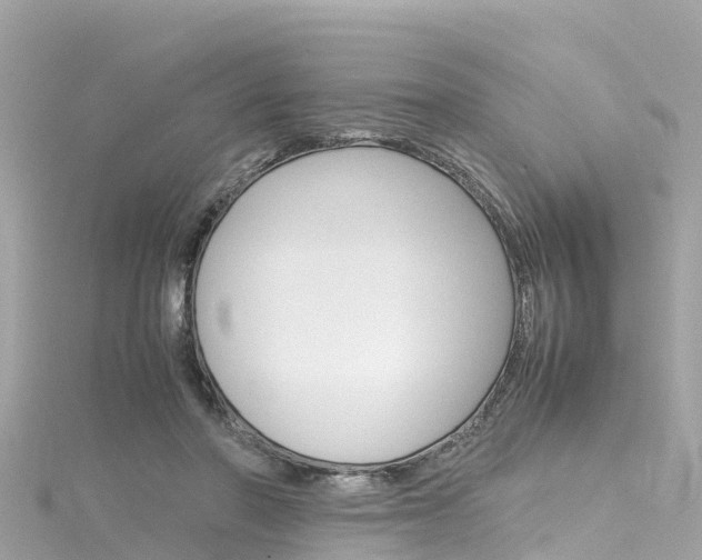 X0000116310406200911301040