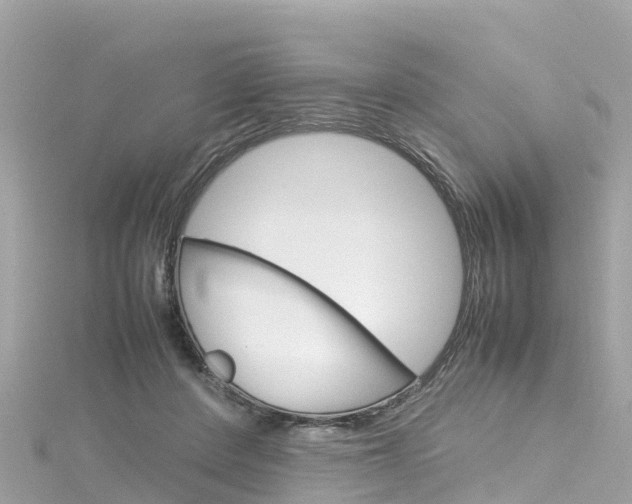 X0000116310408200911301040