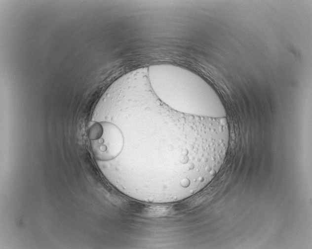 X0000116310418200911301040