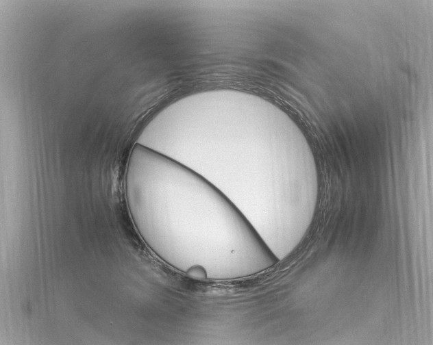 X0000116310420200911301040