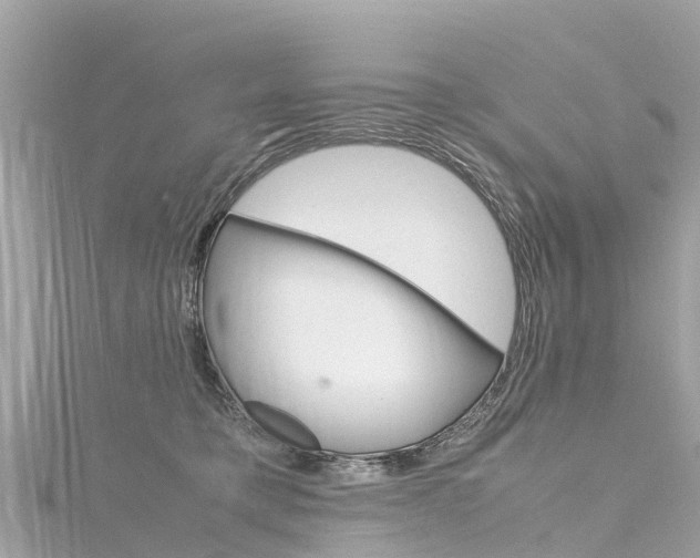 X0000116310421200911301040