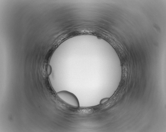 X0000116310422200911301040