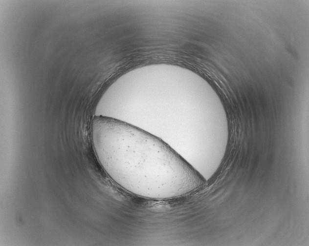 X0000116310424200911301040