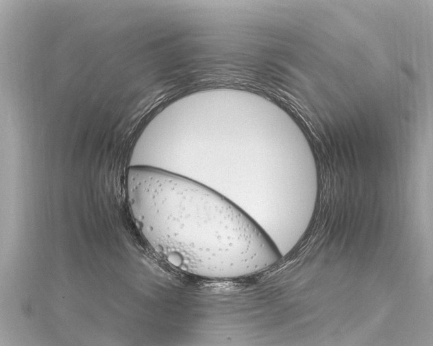 X0000116310428200911301040