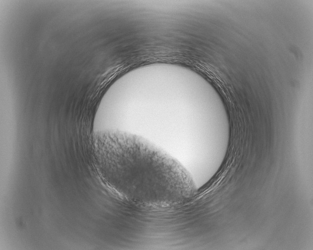 X0000116310432200911301040