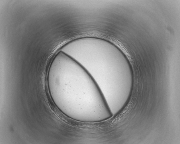 X0000116310434200911301039