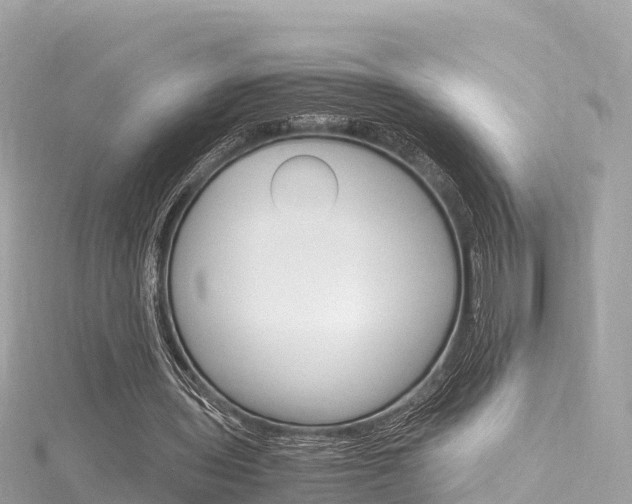 X0000116310435200911301039