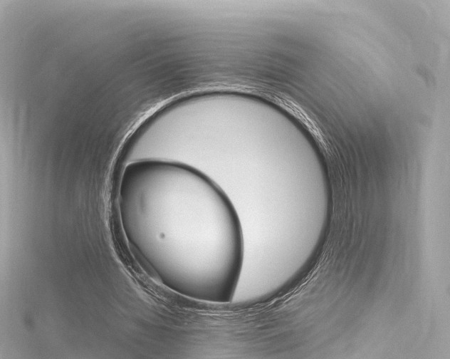 X0000116310436200911301039