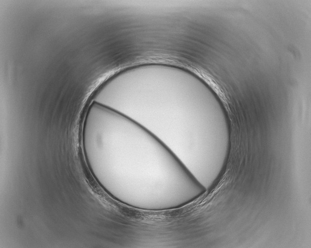 X0000116310438200911301039