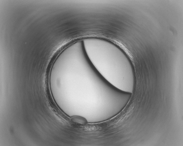 X0000116310439200911301039