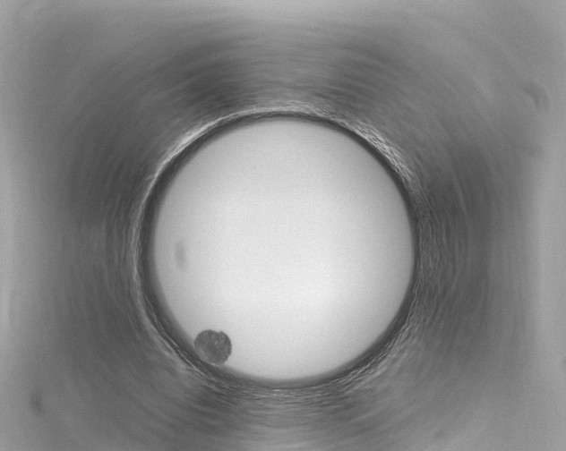 X0000116310440200911301039