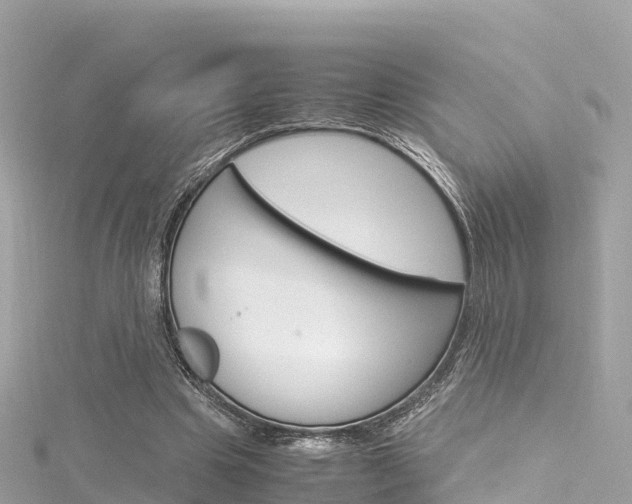 X0000116310441200911301039