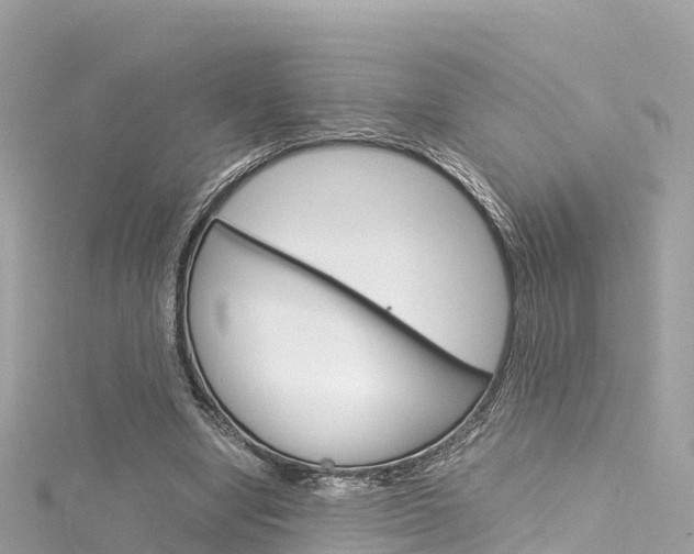 X0000116310442200911301039