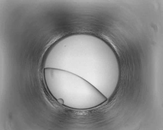 X0000116310443200911301039