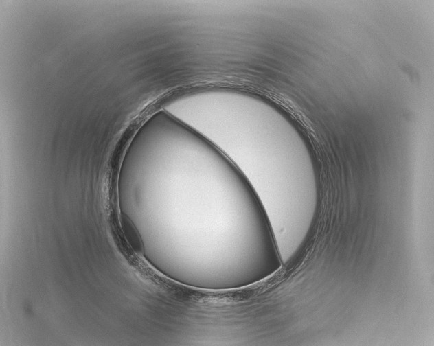 X0000116310444200911301039