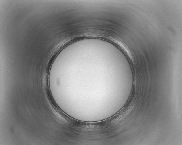 X0000116310445200911301039