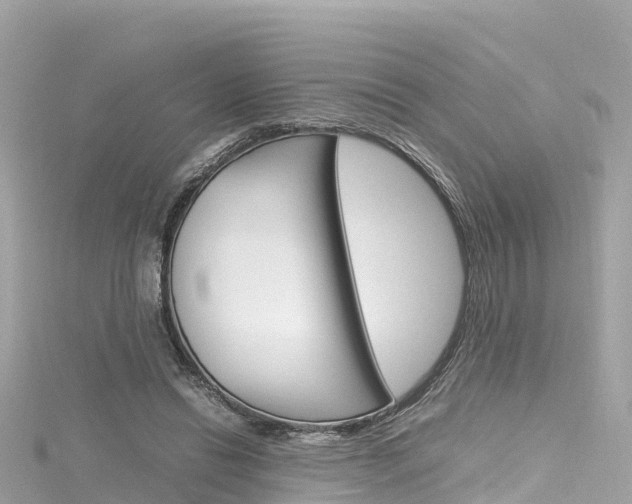 X0000116310446200911301039