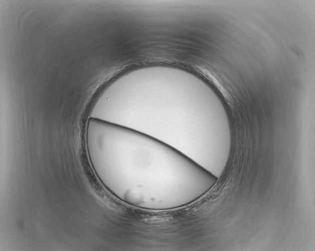 X0000116310447200911301039