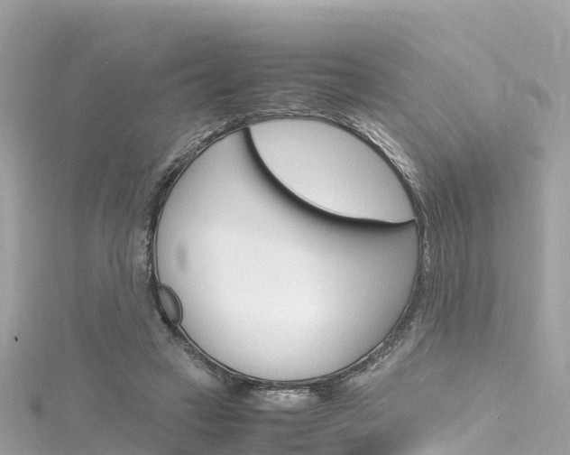 X0000116310449200911301039