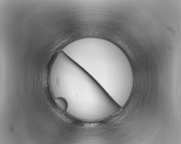 X0000116310450200911301039