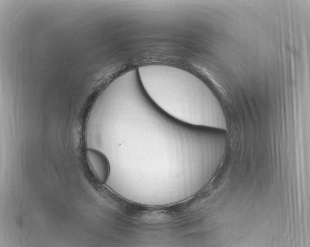 X0000116310451200911301039