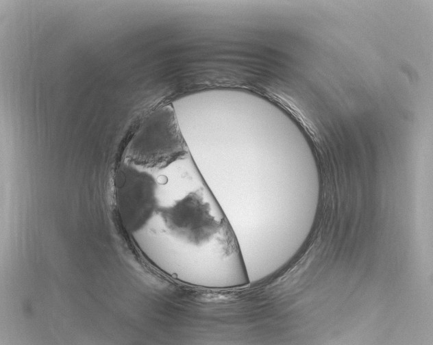 X0000116310453200911301039