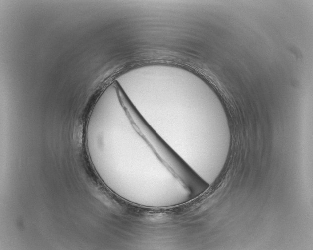 X0000116310454200911301039