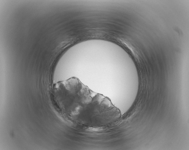 X0000116310455200911301039