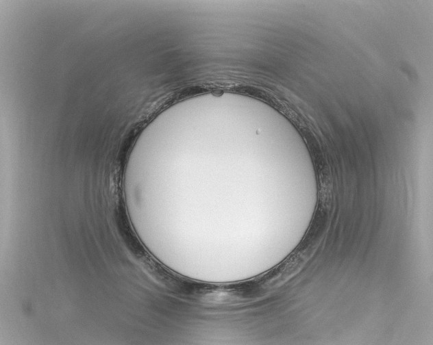 X0000116310460200911301039