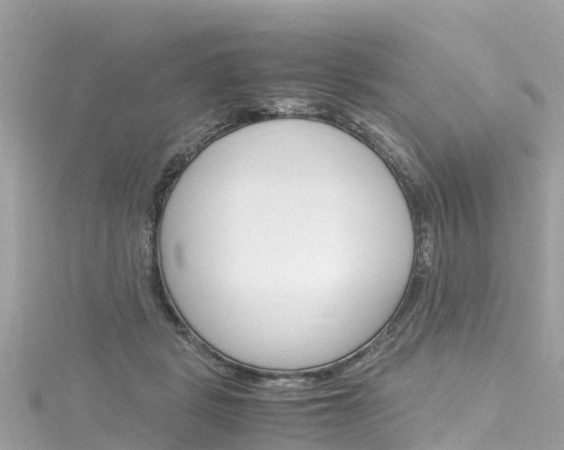 X0000116310461200911301039