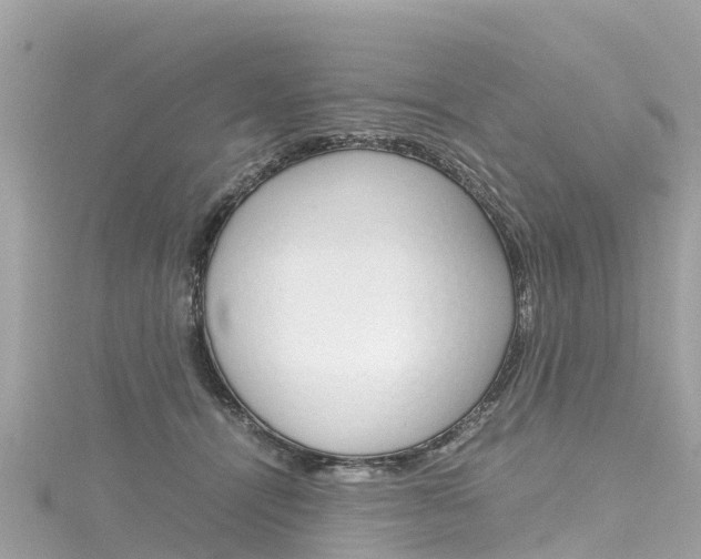 X0000116310464200911301039