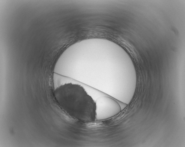 X0000116310465200911301039