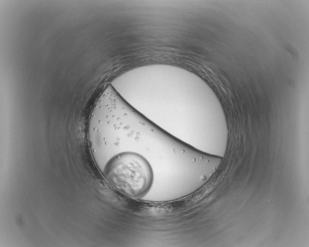 X0000116310466200911301039