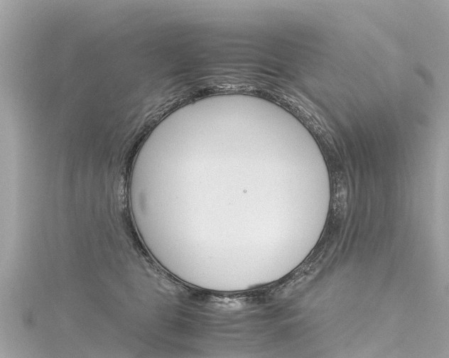 X0000116310469200911301039