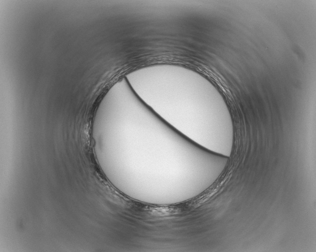 X0000116310473200911301039