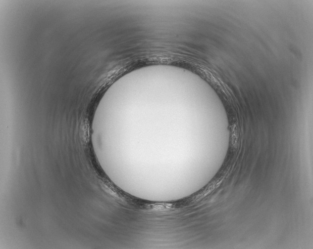 X0000116310474200911301039