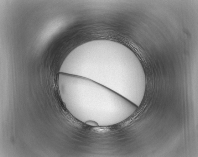 X0000116310477200911301040