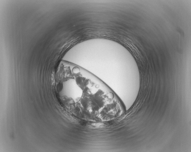 X0000116310478200911301040