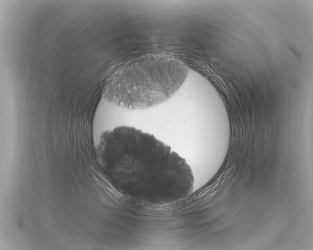 X0000116310479200911301040