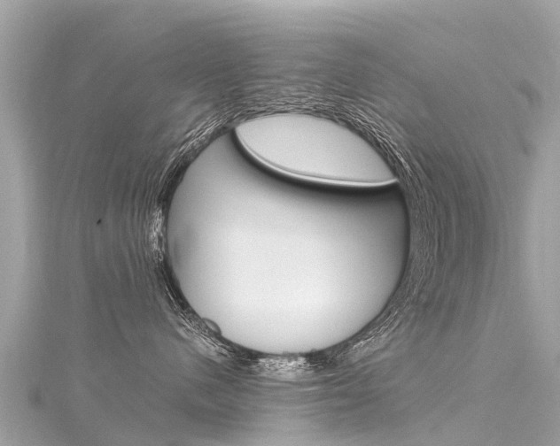 X0000116310480200911301040