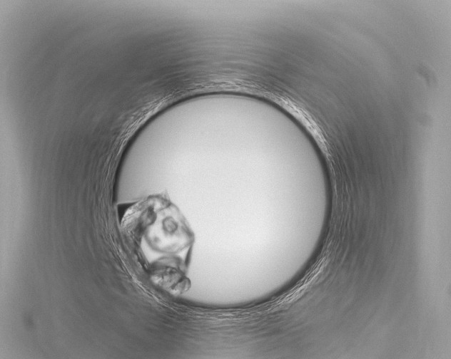 X0000116310481200911301039