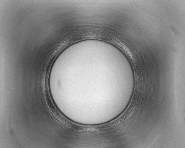 X0000116310482200911301039