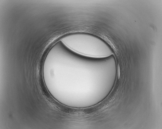 X0000116310483200911301039