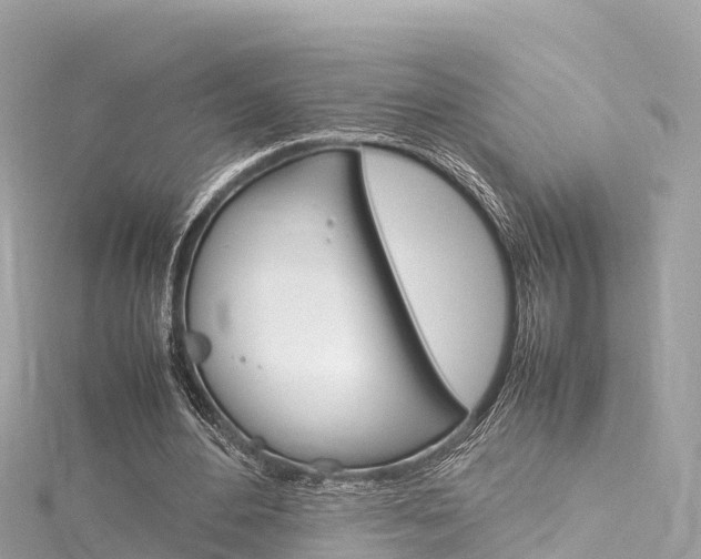 X0000116310484200911301039