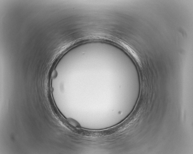 X0000116310485200911301039